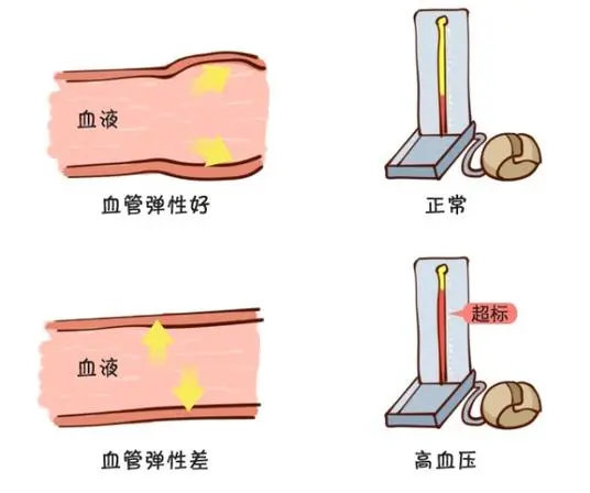 健康100问第二十二期